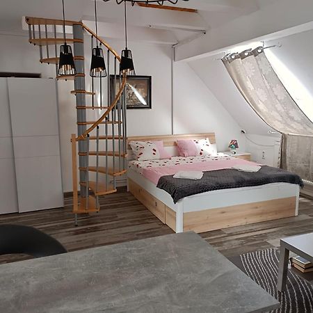Pension Donaublick Grein 2 In Stifterstrasse 19A Kültér fotó