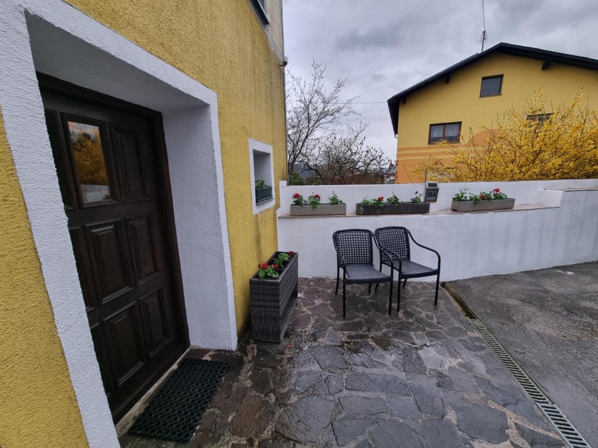 Pension Donaublick Grein 2 In Stifterstrasse 19A Kültér fotó