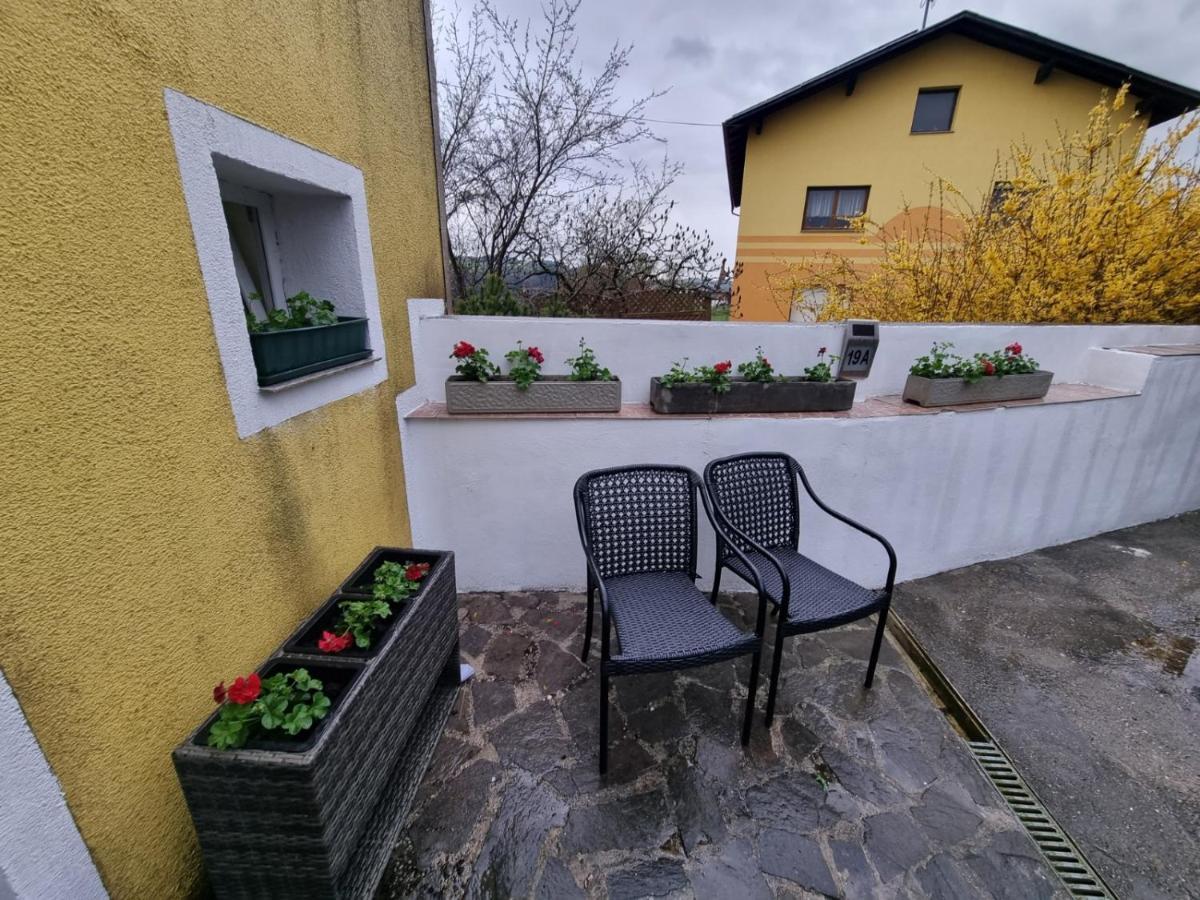 Pension Donaublick Grein 2 In Stifterstrasse 19A Kültér fotó