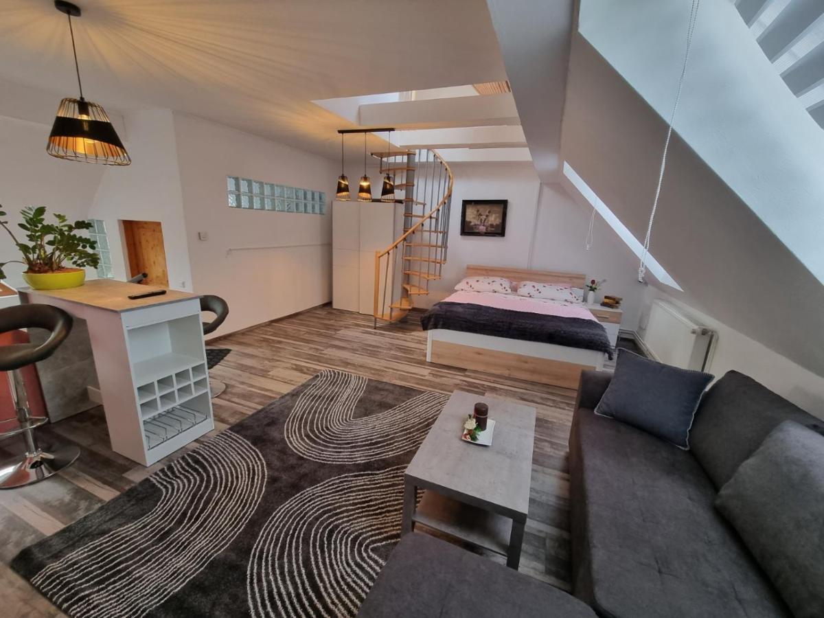 Pension Donaublick Grein 2 In Stifterstrasse 19A Kültér fotó