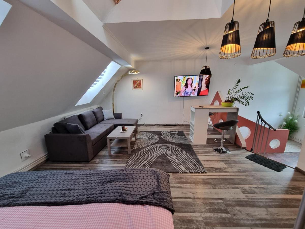 Pension Donaublick Grein 2 In Stifterstrasse 19A Kültér fotó