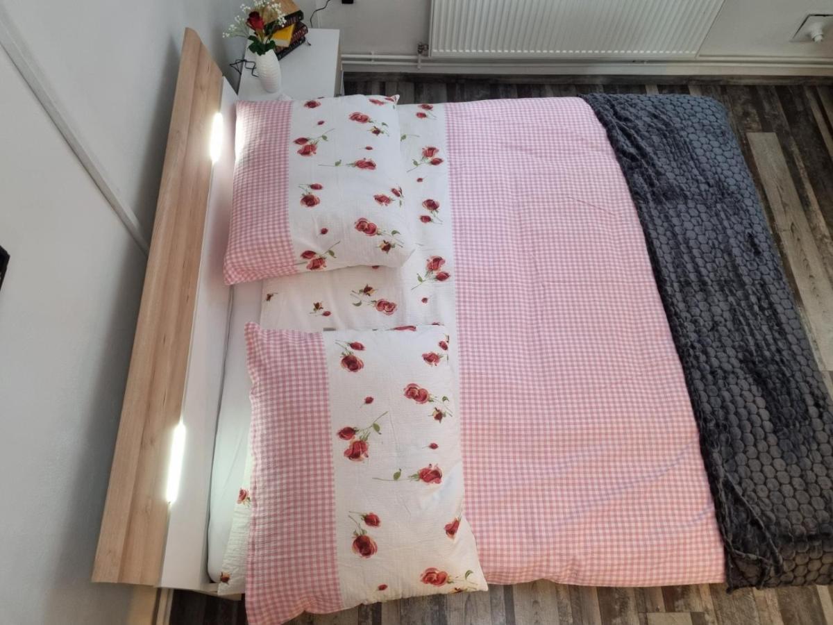 Pension Donaublick Grein 2 In Stifterstrasse 19A Kültér fotó