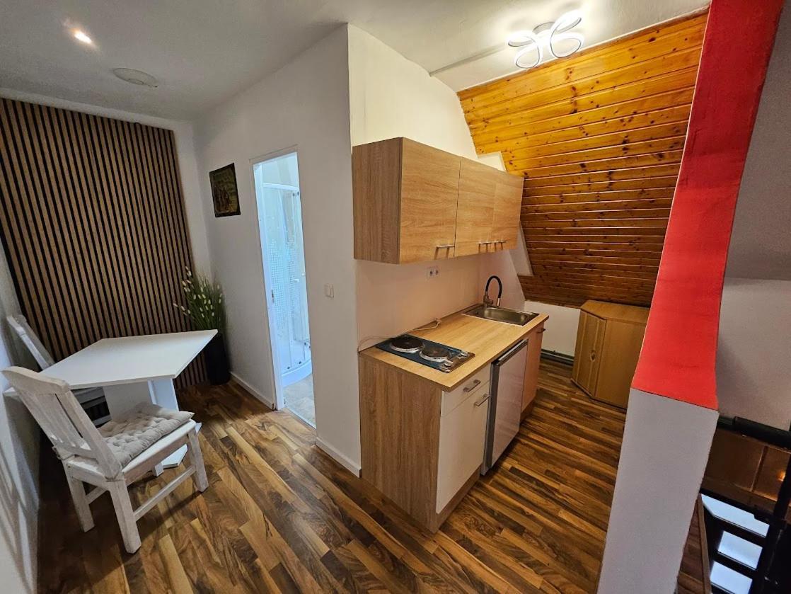 Pension Donaublick Grein 2 In Stifterstrasse 19A Kültér fotó